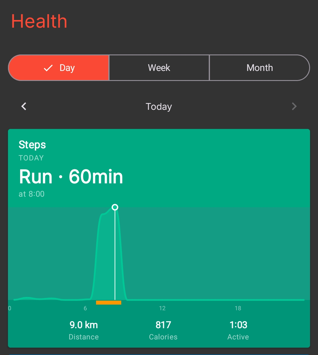 Pebble Stats for Run